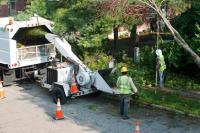 Tree Removal Specialists image 8